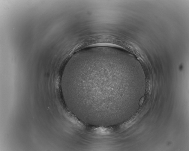 X0000095550326200712211415