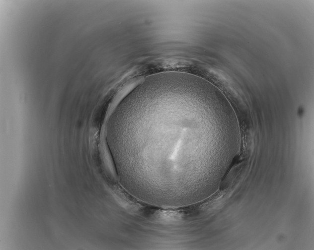 X0000095550327200712211415