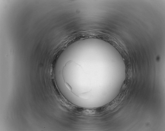 X0000095550328200712211415