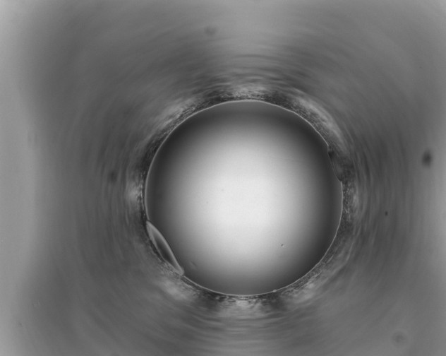 X0000095550329200712211415