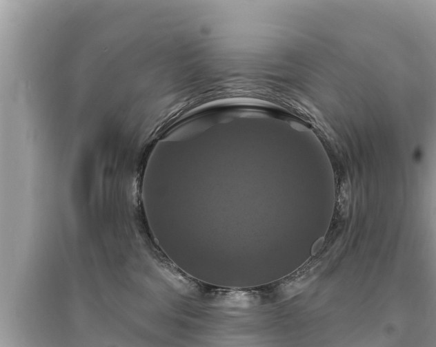 X0000095550330200712211415