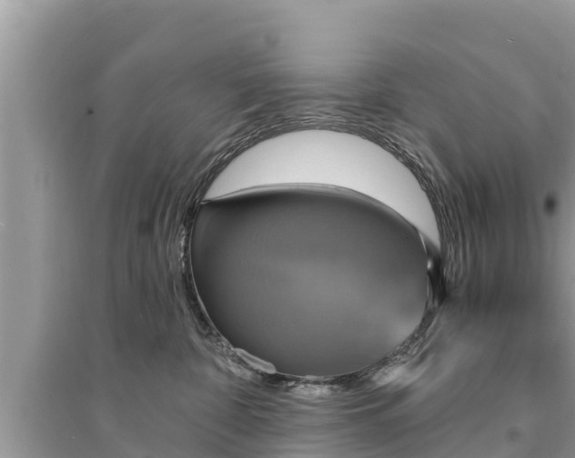 X0000095550332200712211415