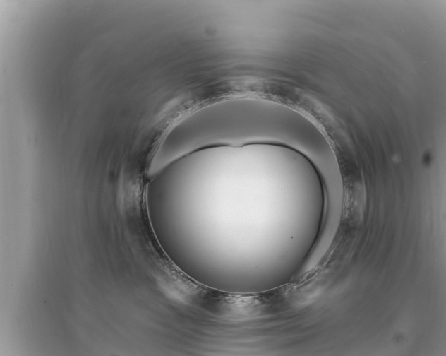 X0000095550333200712211415