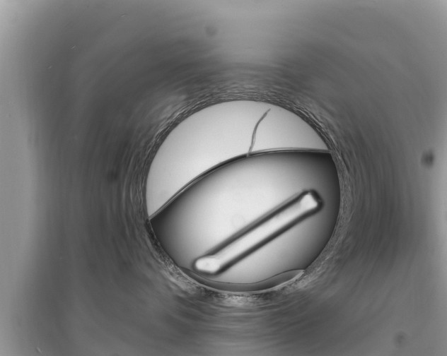 X0000095550336200712211415