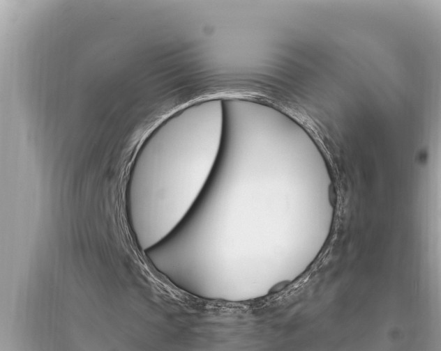 X0000095550337200712211414