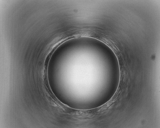 X0000095550338200712211414