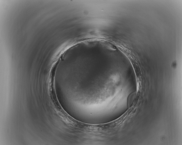 X0000095550339200712211414