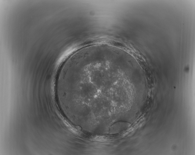 X0000095550341200712211414