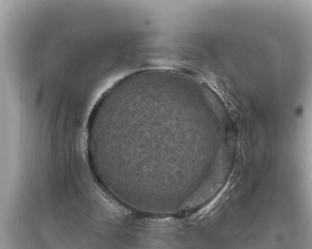 X0000095550342200712211414