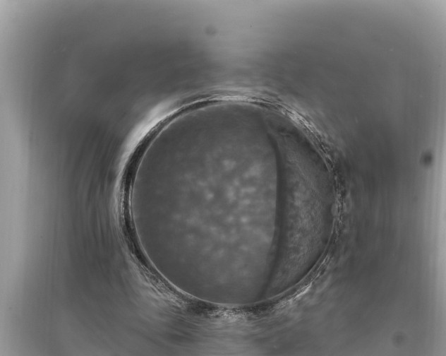 X0000095550343200712211414