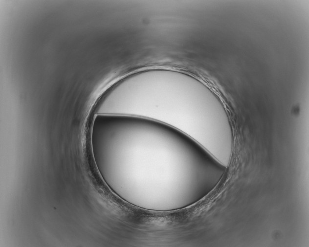 X0000095550344200712211414