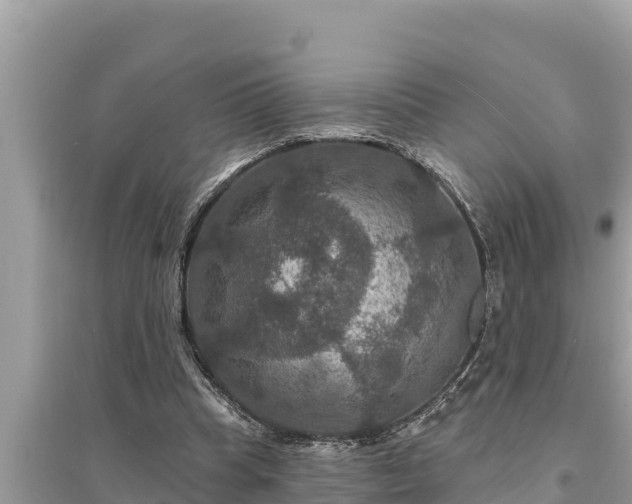 X0000095550345200712211414