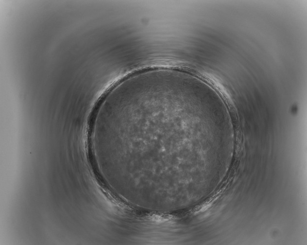 X0000095550346200712211414