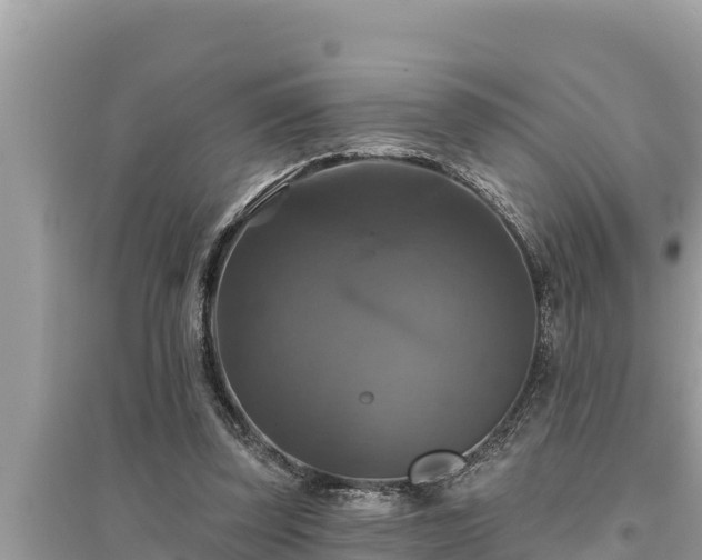 X0000095550347200712211414