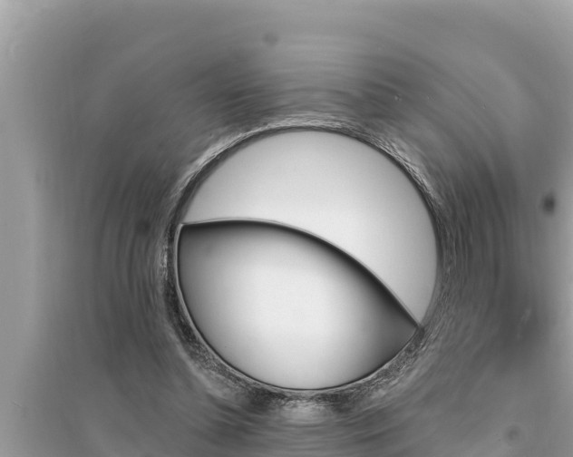 X0000095550348200712211414