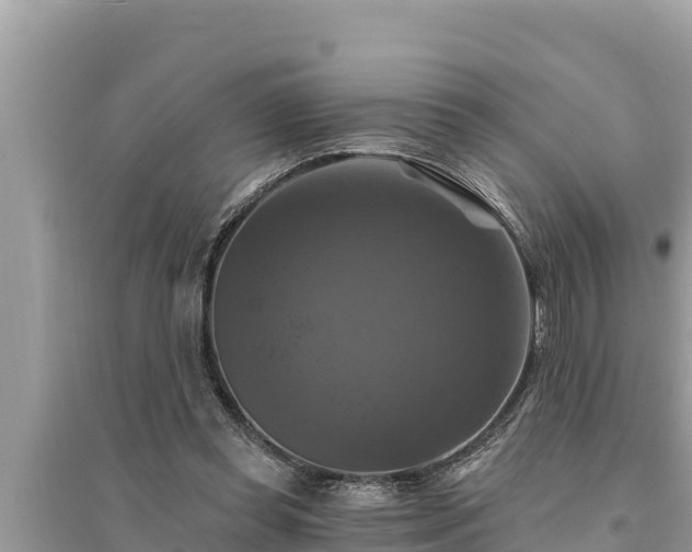 X0000095550349200712211414