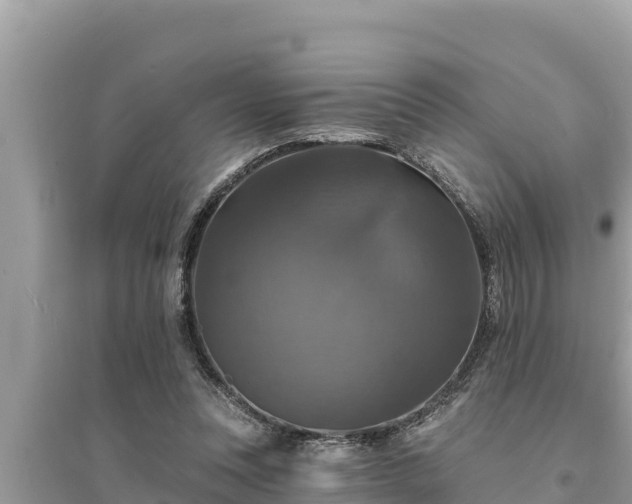 X0000095550351200712211414