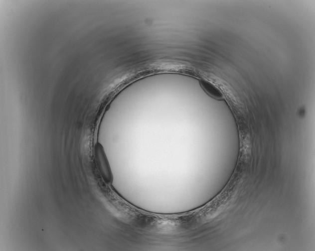 X0000095550352200712211414