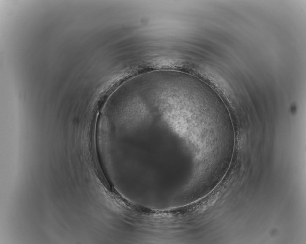 X0000095550353200712211414