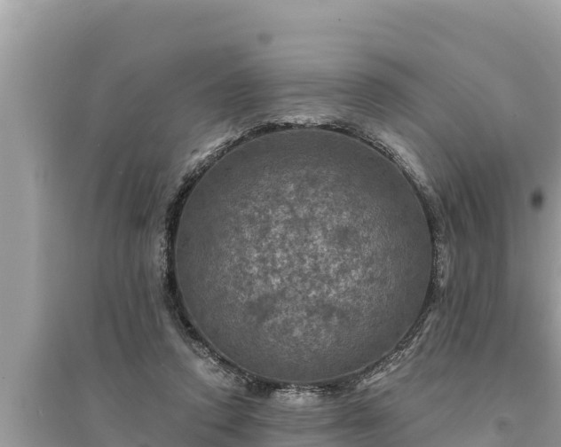 X0000095550354200712211414