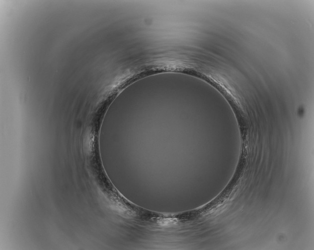 X0000095550355200712211414