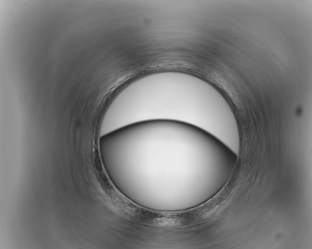 X0000095550356200712211414