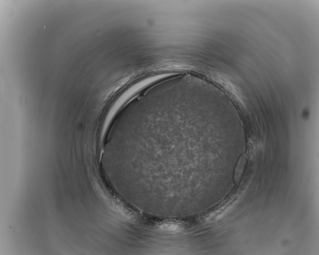 X0000095550358200712211414