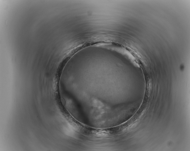 X0000095550359200712211414