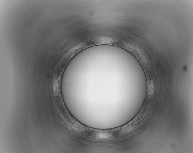 X0000095550360200712211414