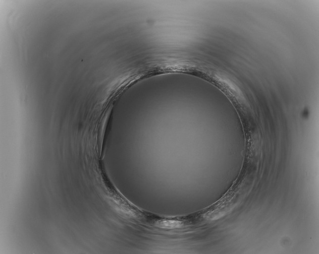 X0000095550361200712211414