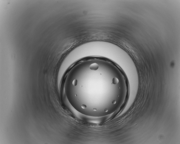 X0000095550362200712211414