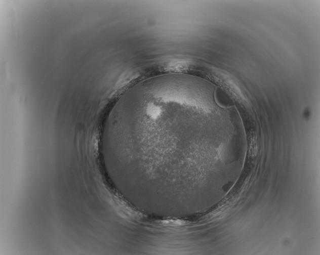 X0000095550363200712211414