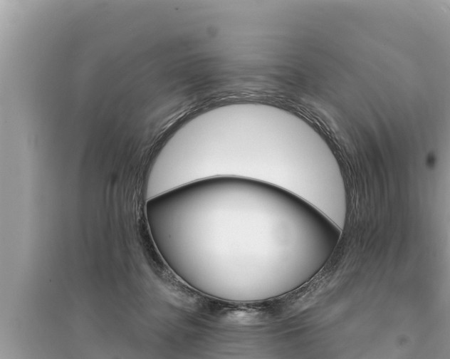 X0000095550364200712211414