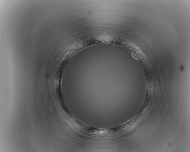 X0000095550365200712211415