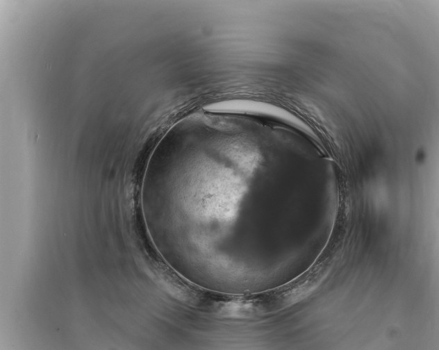 X0000095550366200712211415