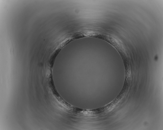 X0000095550367200712211415