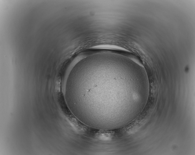 X0000095550368200712211415