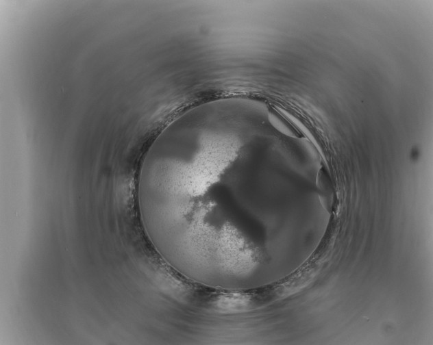 X0000095550369200712211415