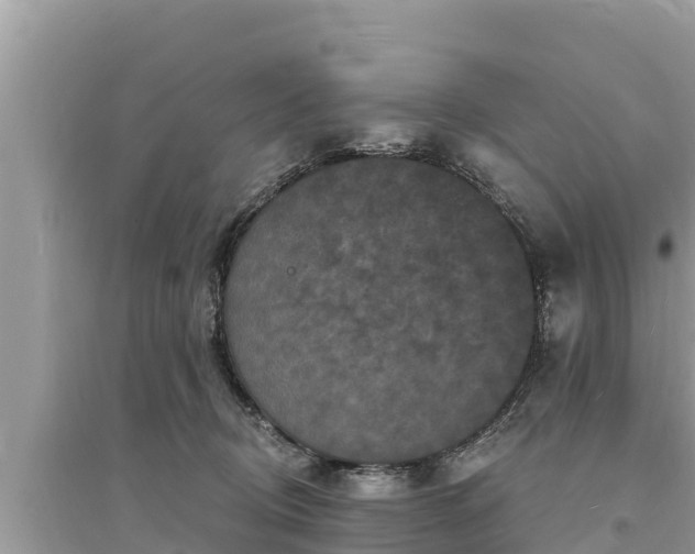 X0000095550370200712211415