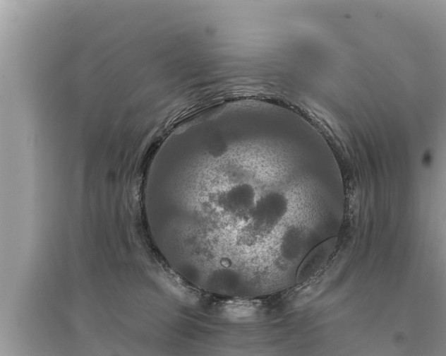 X0000095550373200712211415