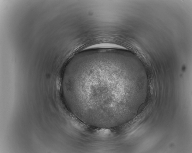 X0000095550374200712211415