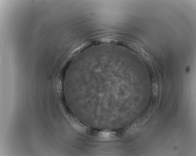 X0000095550375200712211415