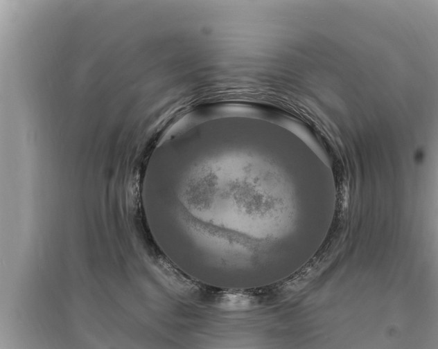 X0000095550376200712211415