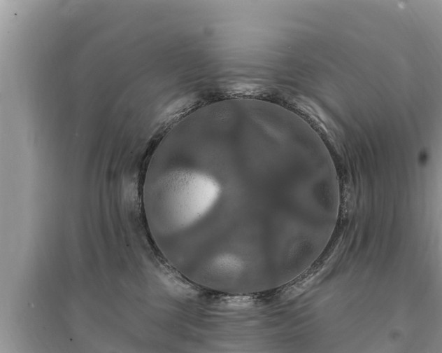 X0000095550377200712211415