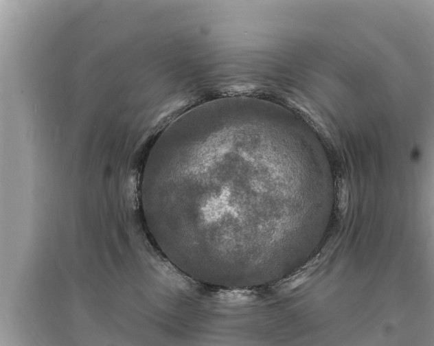 X0000095550378200712211415