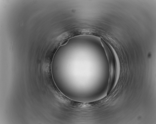 X0000095550379200712211415