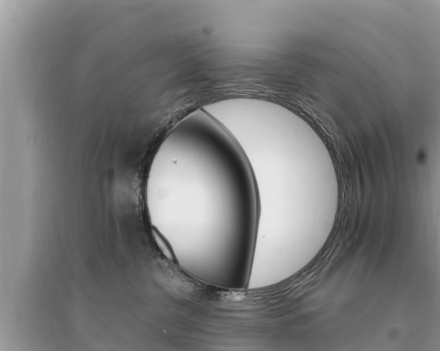 X0000095550380200712211415