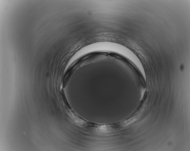 X0000095550382200712211415