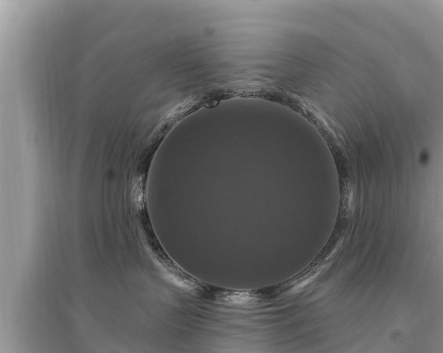 X0000095550383200712211415