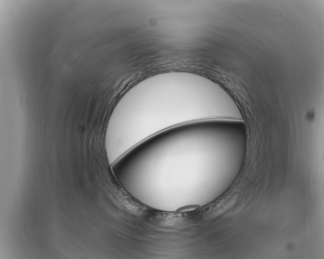 X0000095550384200712211415